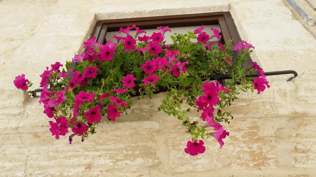 Apartmán Borgo Antico Monopoli Exteriér fotografie